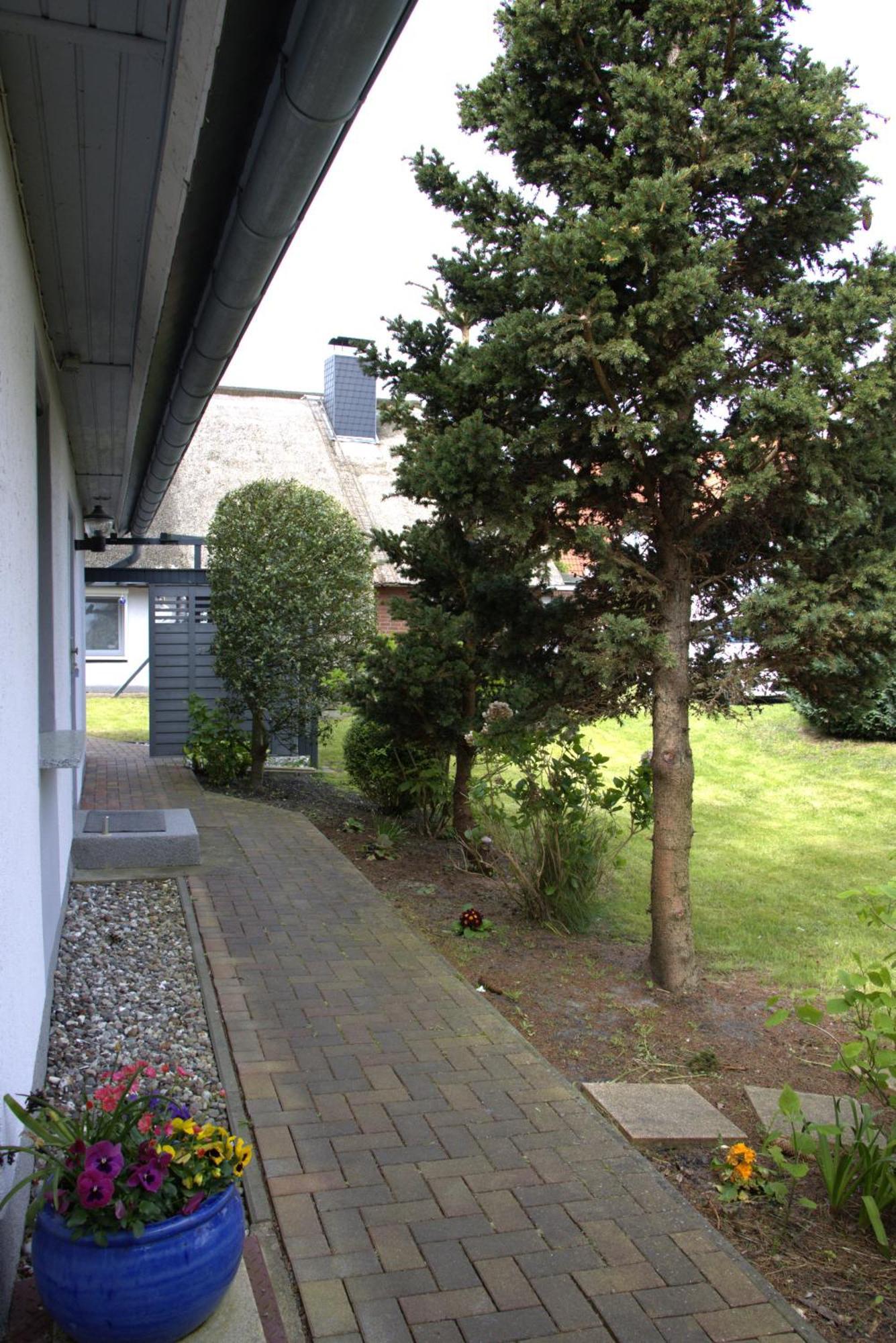 Seestern Zingst Zewnętrze zdjęcie